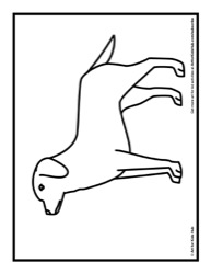 46