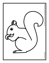 204
